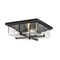 Z-Lite Sana 4 Light Outdoor Flush Ceiling Mount Fixture, Black And Seedy 592F-BK - alternate 1